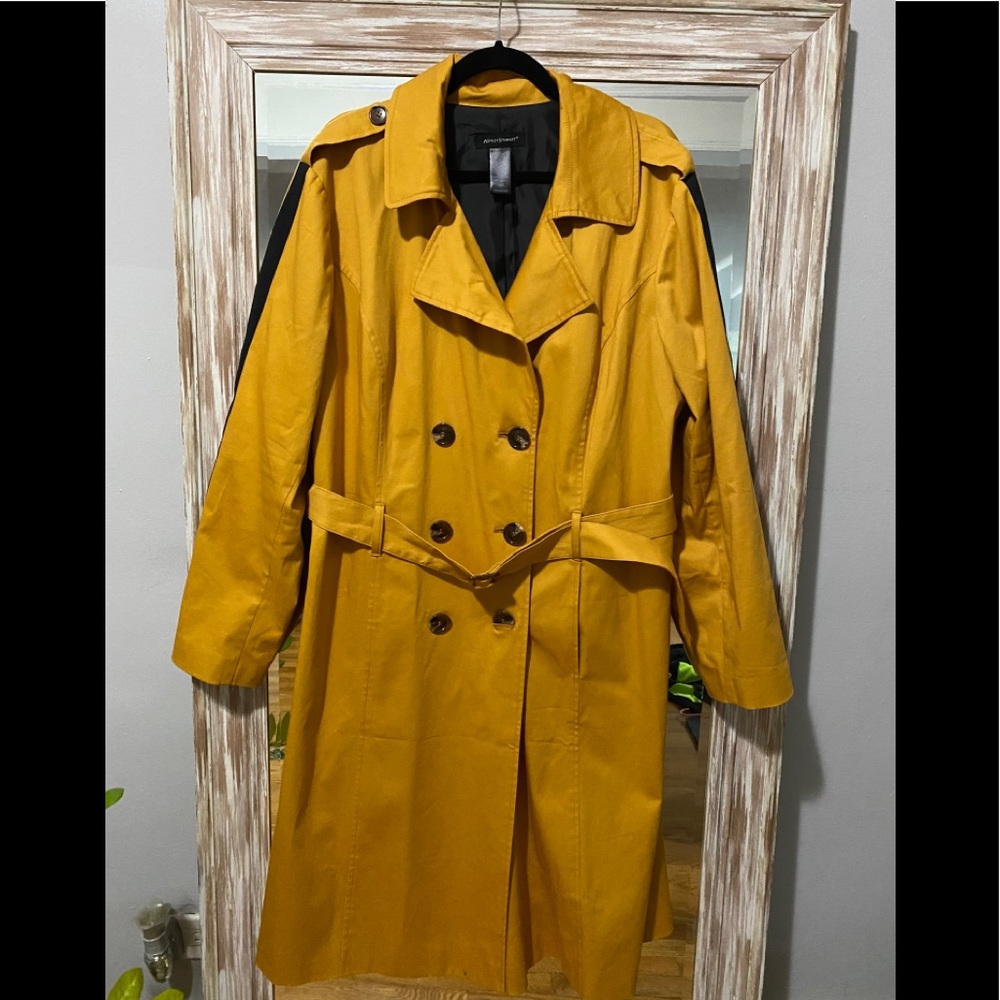 Ashley Stewart 🧥